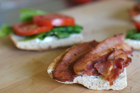 Bacon sndwich recipes
