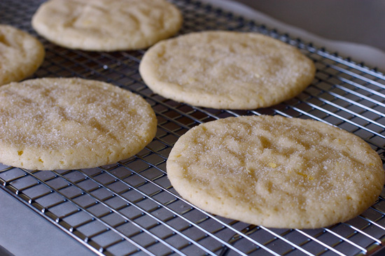 Giant cookie recipes
