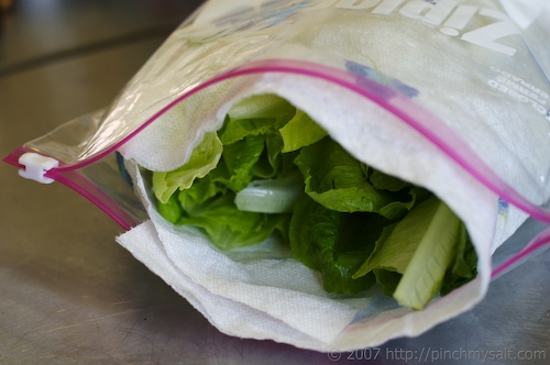 Lettuce in Plastic Bag