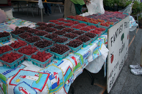 Greenmarket Berries