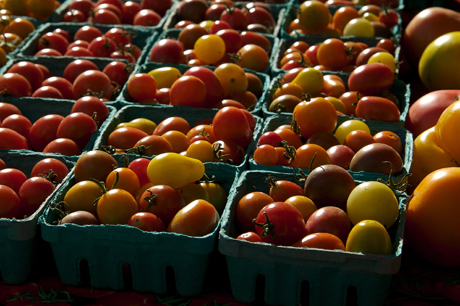 Greenmarket Tomatoes