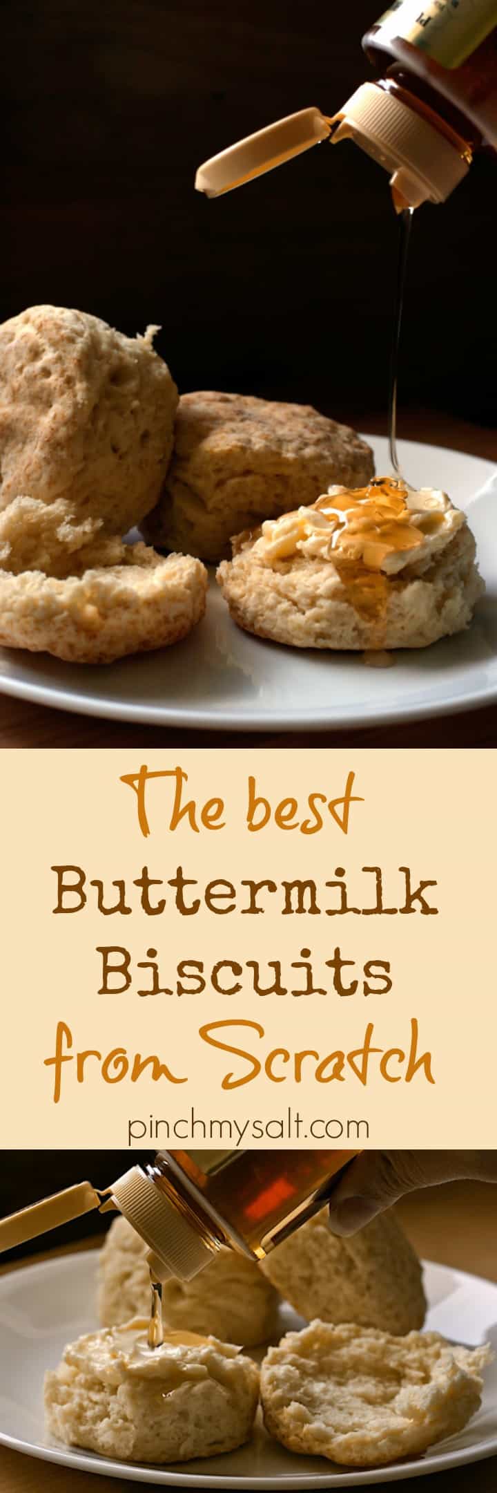 How to make the BEST buttermilk biscuits from pinchmysalt.com