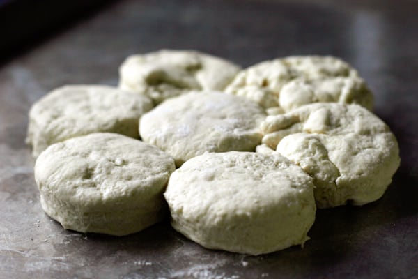 Buttermilk biscuits ready for oven | pinchmysalt.com