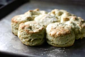 Fluffy buttermilk biscuits out of the oven | pinchmysalt.com