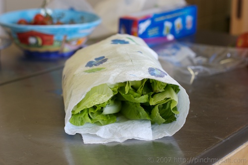 Lettuce Wrapped in Paper Towels