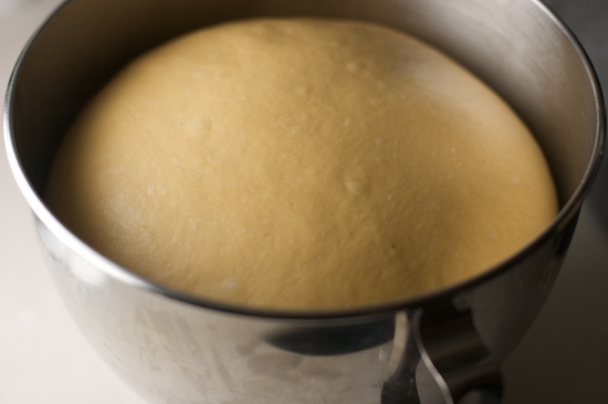 Let dough rise in a warm place until doubled in bulk.