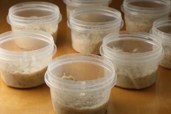 Oatmeal in Containers