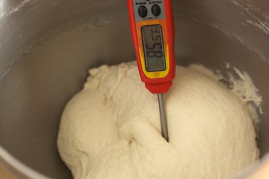 French Bread Dough, Kneaded