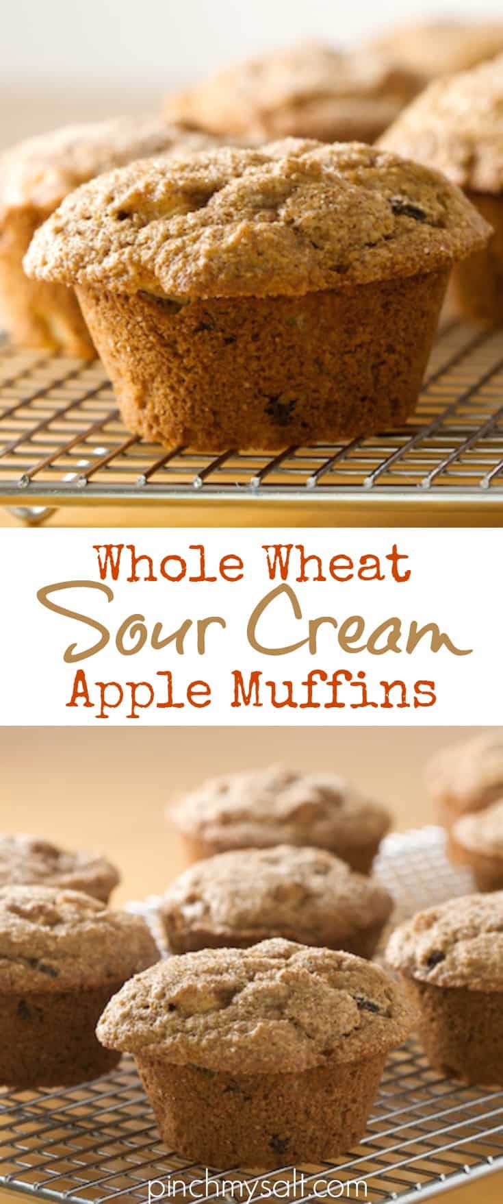 Whole Wheat Sour Cream Apple Muffins | pinchmysalt.com