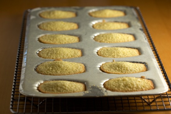 Baked Madeleines