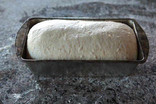 Proofed Loaf