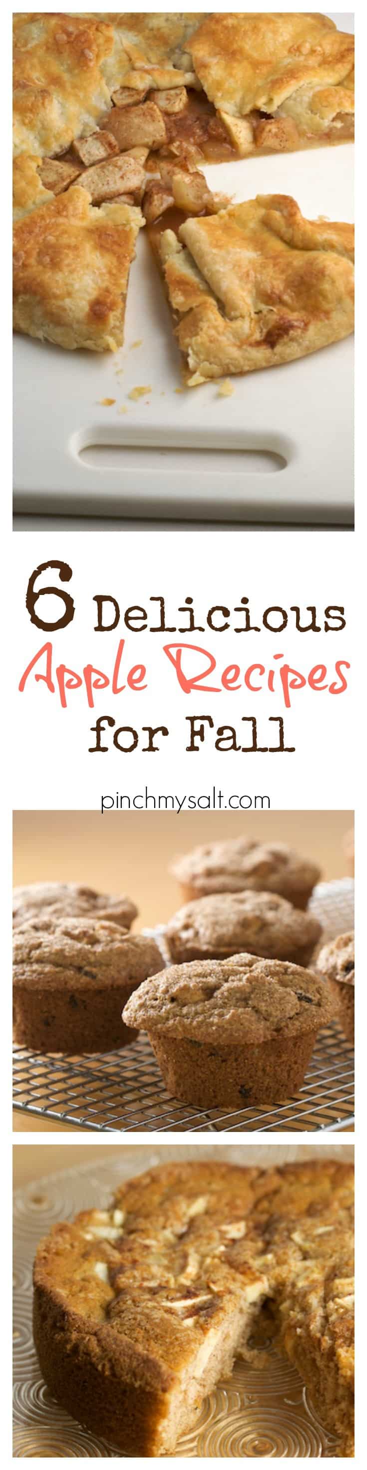 Six Delicious Apple Recipes for Fall | pinchmysalt.com