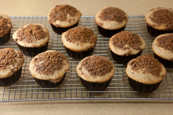 Cinnamon Streusel Muffins Out of the Oven | pinchmysalt.com