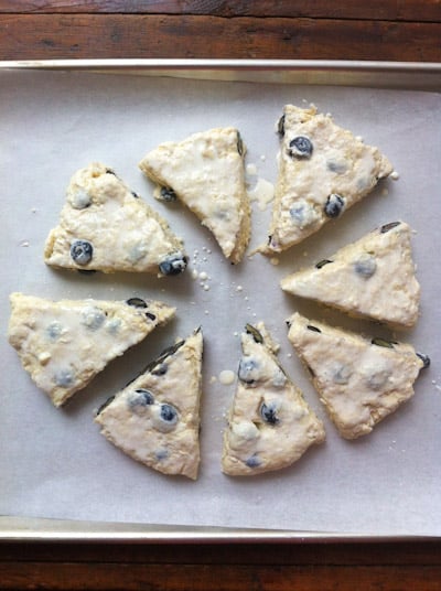 Buttermilk Blueberry Scones brushed with cream