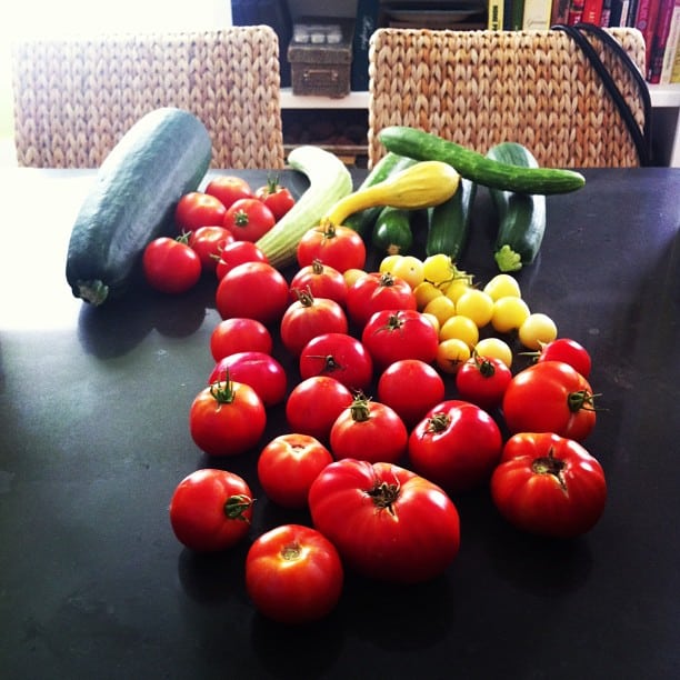 Tomatoes from our Garden - Pinch My Salt