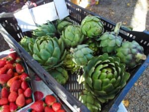 Artichokes and Strawberries at the Farmer's Market