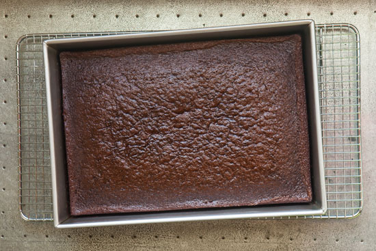 Rich and Moist Sourdough Chocolate Cake | pinchmysalt.com