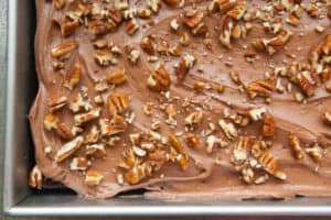 Sourdough Chocolate Cake with Chocolate Cream Cheese Frosting and Pecans pinchmysalt.com