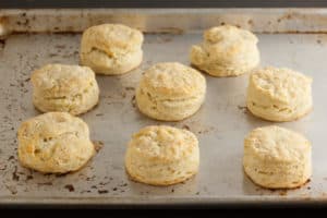 Baked biscuits | pinchmysalt.com