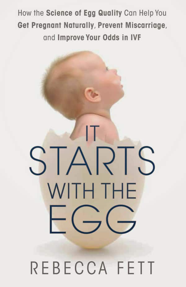 Book Cover for It Starts with the Egg by Rebecca Fett