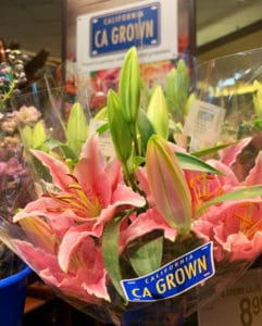 CA GROWN flower bouquet